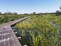 -永定河休闲森林公园