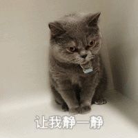 -辛巴宠物医疗中心·骨科·内分泌专科·心肾专科(亭林公园店)