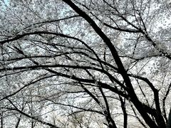 -苏州上方山国家森林公园