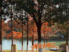 -滨湖塘西河公园