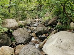 -云岫谷自然风景区
