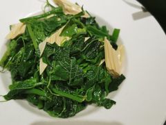 -蒙料·手把肉(望京店)