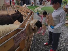 -HERRE·FARM 赫尔露营农场·团建聚会包场