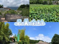 -阿露佳·舌尖上的安吉菜