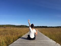 -塞罕坝国家级自然保护区