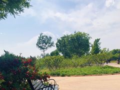 -永定河休闲森林公园