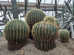 -南山植物园