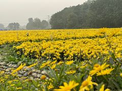 -中国天府农业博览园