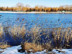 -大兴滨河森林公园