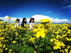 -青海湖国家重点风景名胜区