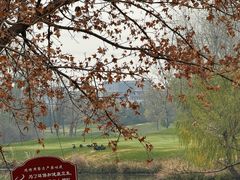 -万柳高尔夫俱乐部