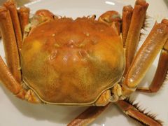 -王宝和酒家(黄浦店)