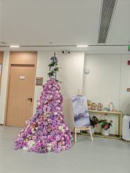 -上海伊莱美医疗美容医院