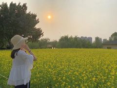 -长白岛森林公园