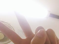 -杨记下沙盐焗鸡(罗湖店)