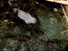 -旭龙鱼头王(航华店)