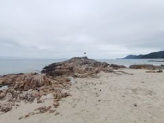 -杨梅坑