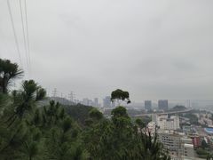 -仙岳公园