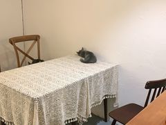 -猫友咖啡店(玉林西路店)