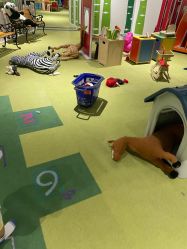 -幻贝家儿童乐园(苏州中心店)