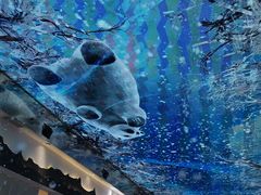 -八一路好吃街(雨田商务大厦店)