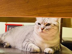 -H立方实景剧情密室(天河旗舰店)