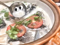 -全乐鱼馆·淳牌有机鱼直营店