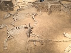 -洛阳周王城天子驾六博物馆