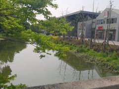 -昆山城市生态森林公园