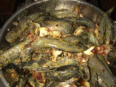 -金海椒罐罐鲢鱼(东方桂苑店)