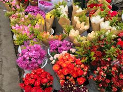 -三圣花乡旅游区