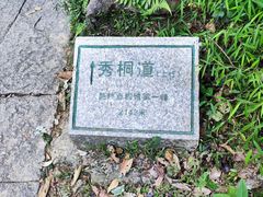 -梧桐山风景名胜区