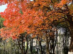 -艾溪湖湿地公园