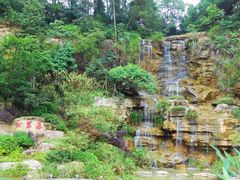 -铁山坪森林公园