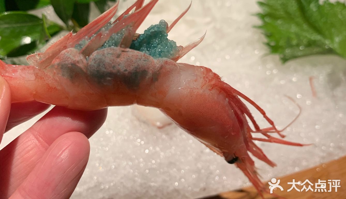 芝士焗烤系列推荐扇贝！