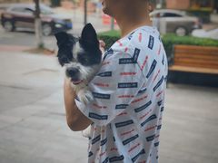 -帕帕拉兹宠物(亚洲旗舰店)