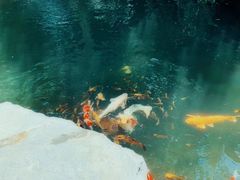 -新荣记(西溪湿地店)