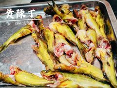 黄辣丁-蜀滋香鲜鱼美蛙火锅(339店)