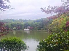 -岳麓山风景名胜区