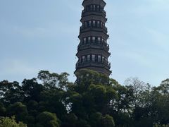 -顺峰山公园