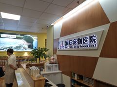 -派联宠物医院·24h·CT·异宠