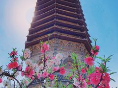 -玲珑塔公园
