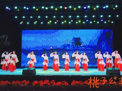 -桃子公主舞蹈培训(万柳校区)