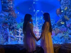 -暹罗海洋世界
