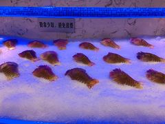 -澜悦港海鲜体验主题餐厅
