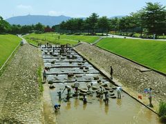 -光明小镇欢乐田园