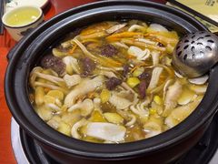 -菌之家·专业纯野生菌火锅·特色炒菌