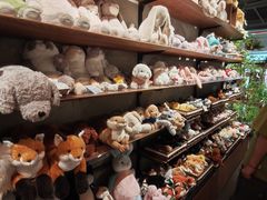 -番茄口袋(上海普陀区环球港店)