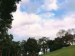 -飞凤山奥体公园