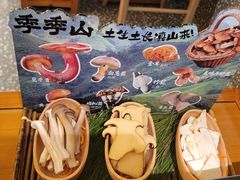 -季季山•云南野生菌火锅(上海首店)